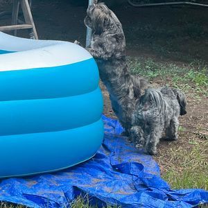 Meet your Posher, Wendy